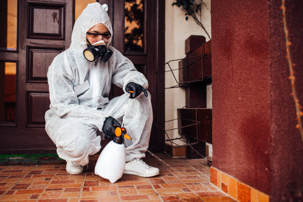 Reliable Ant Control contractor in Stafford, TX by Show Me Pest Control